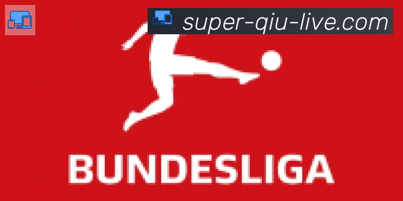 U球体育合作伙伴